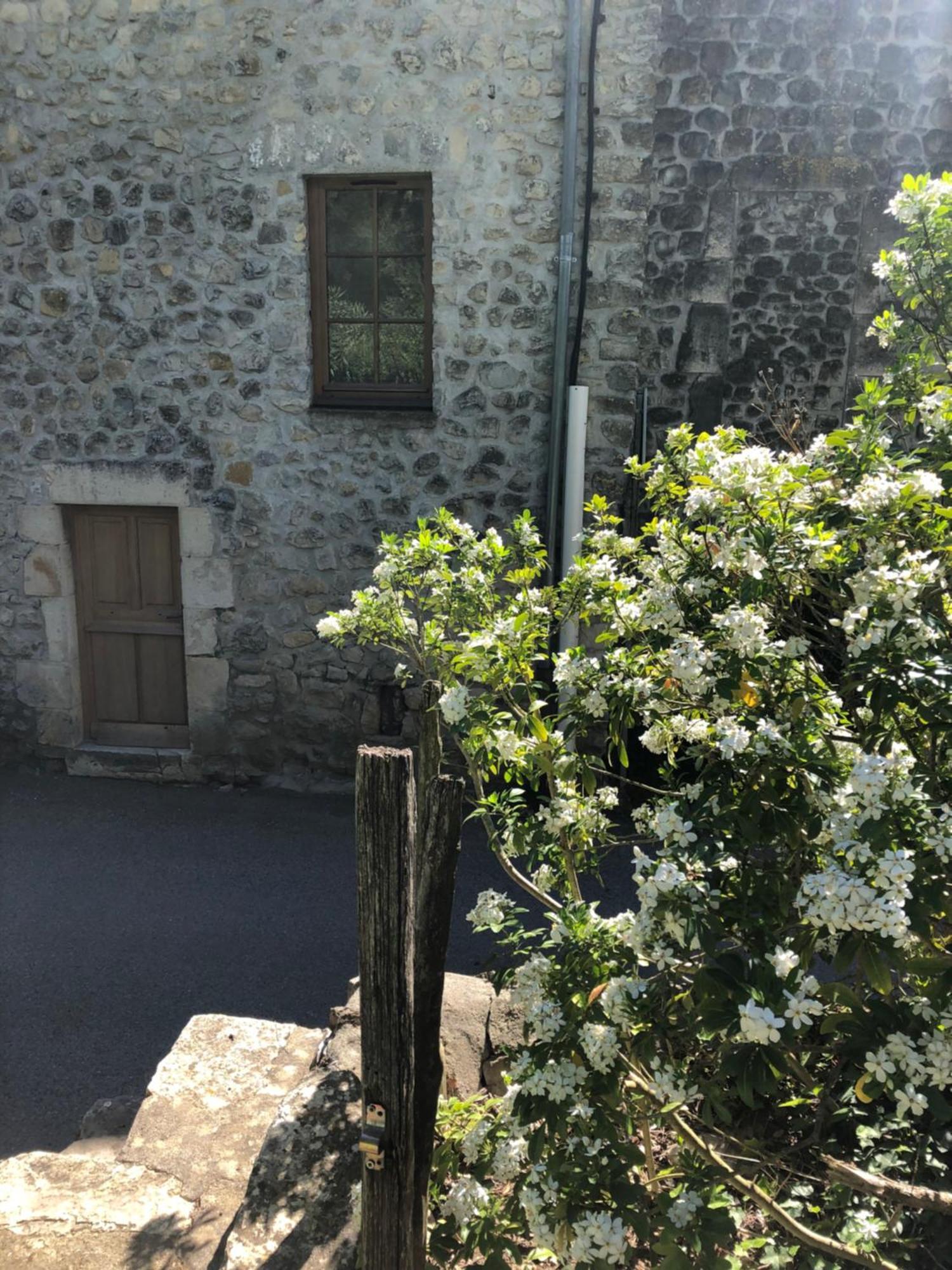 Gite Des Pins Saint-Maurice-dʼIbie Zewnętrze zdjęcie