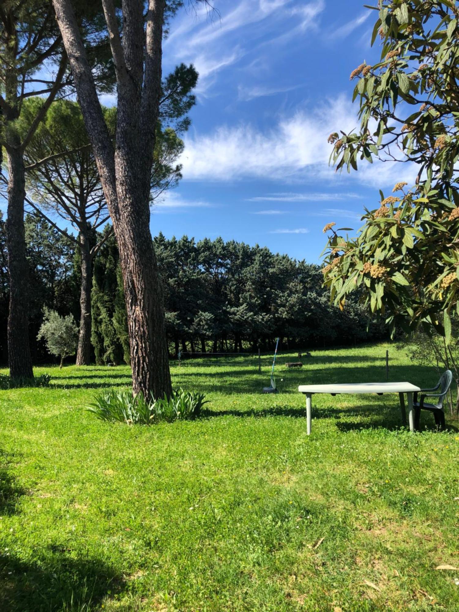 Gite Des Pins Saint-Maurice-dʼIbie Zewnętrze zdjęcie