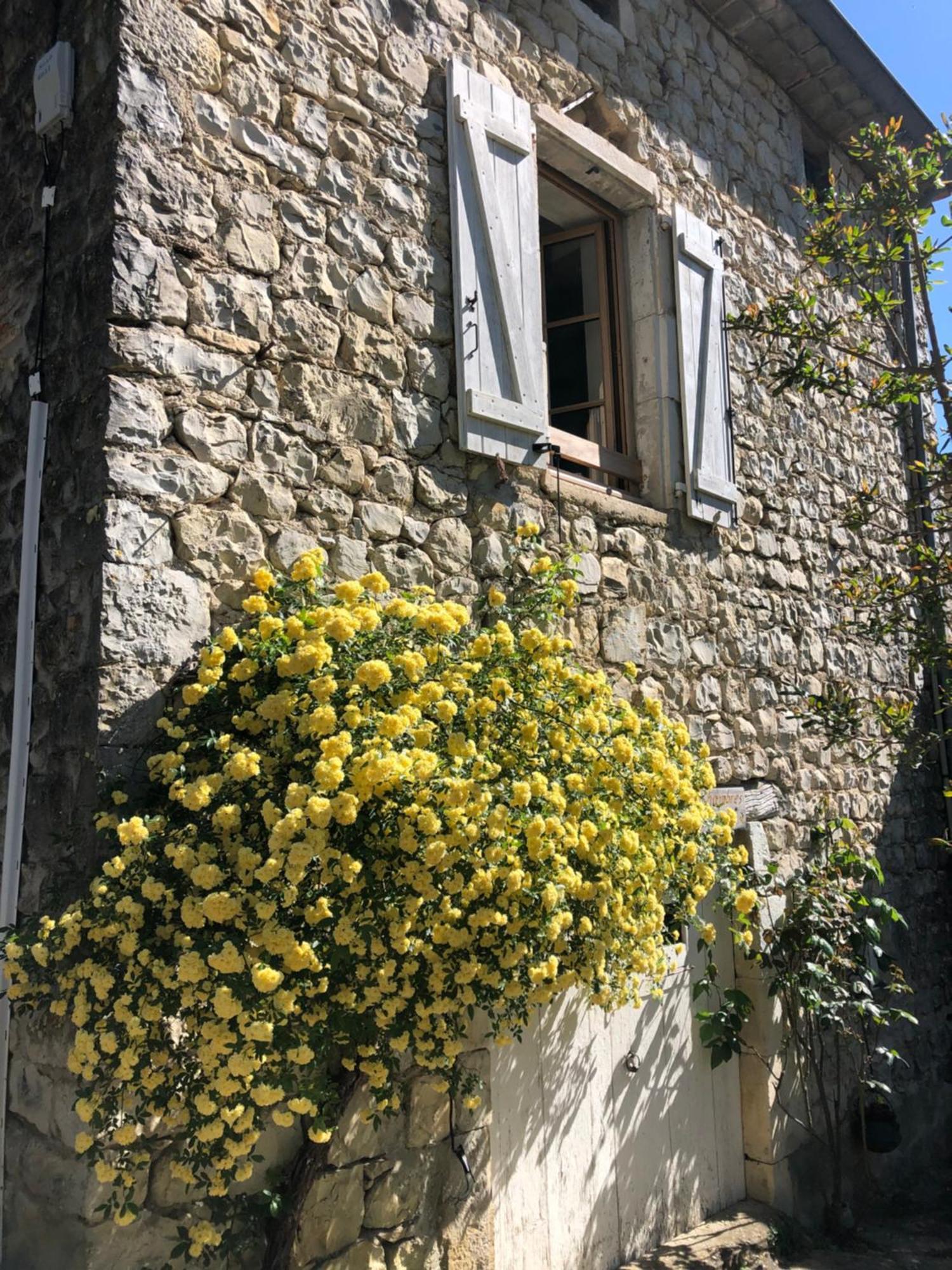 Gite Des Pins Saint-Maurice-dʼIbie Zewnętrze zdjęcie